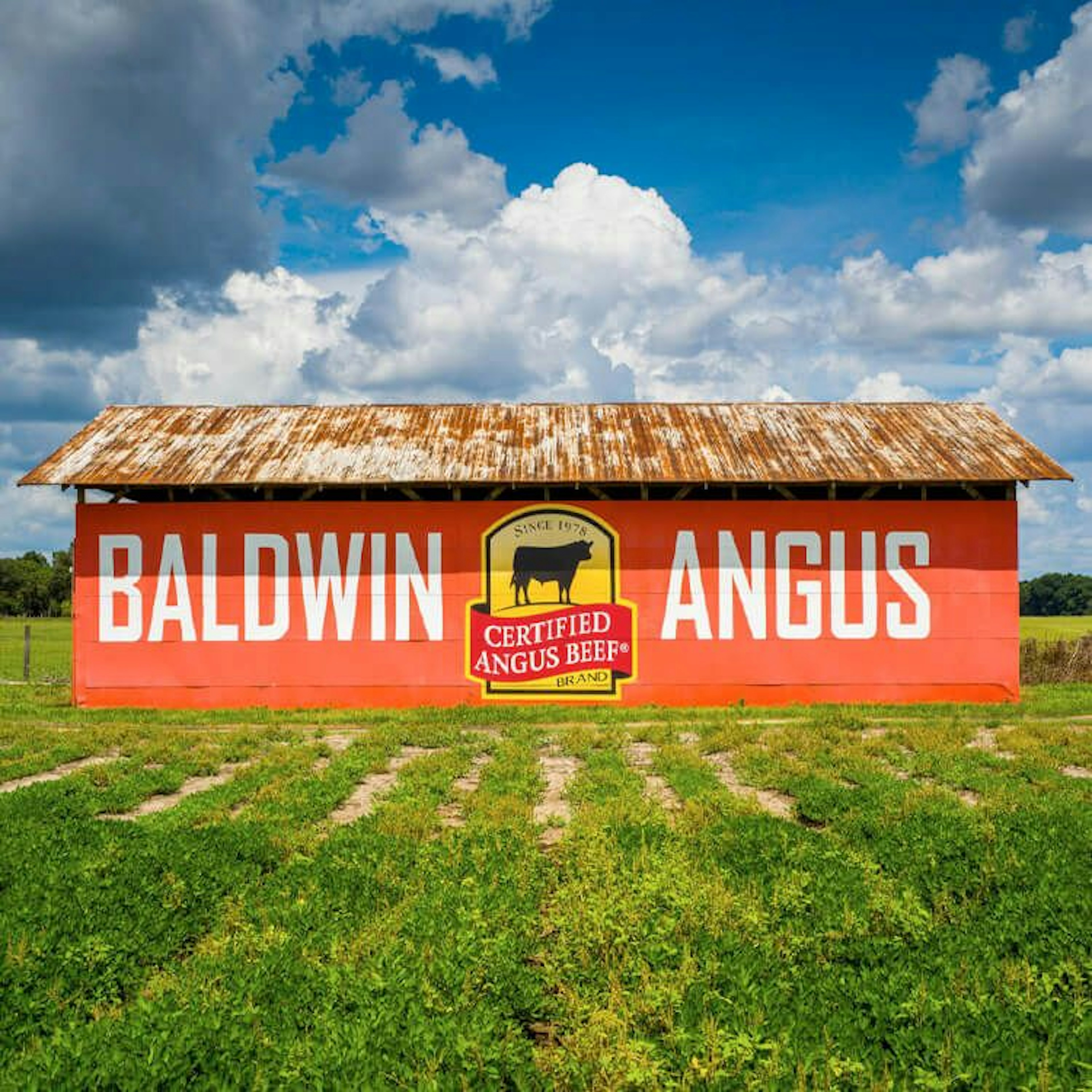 Baldwin Angus Barn