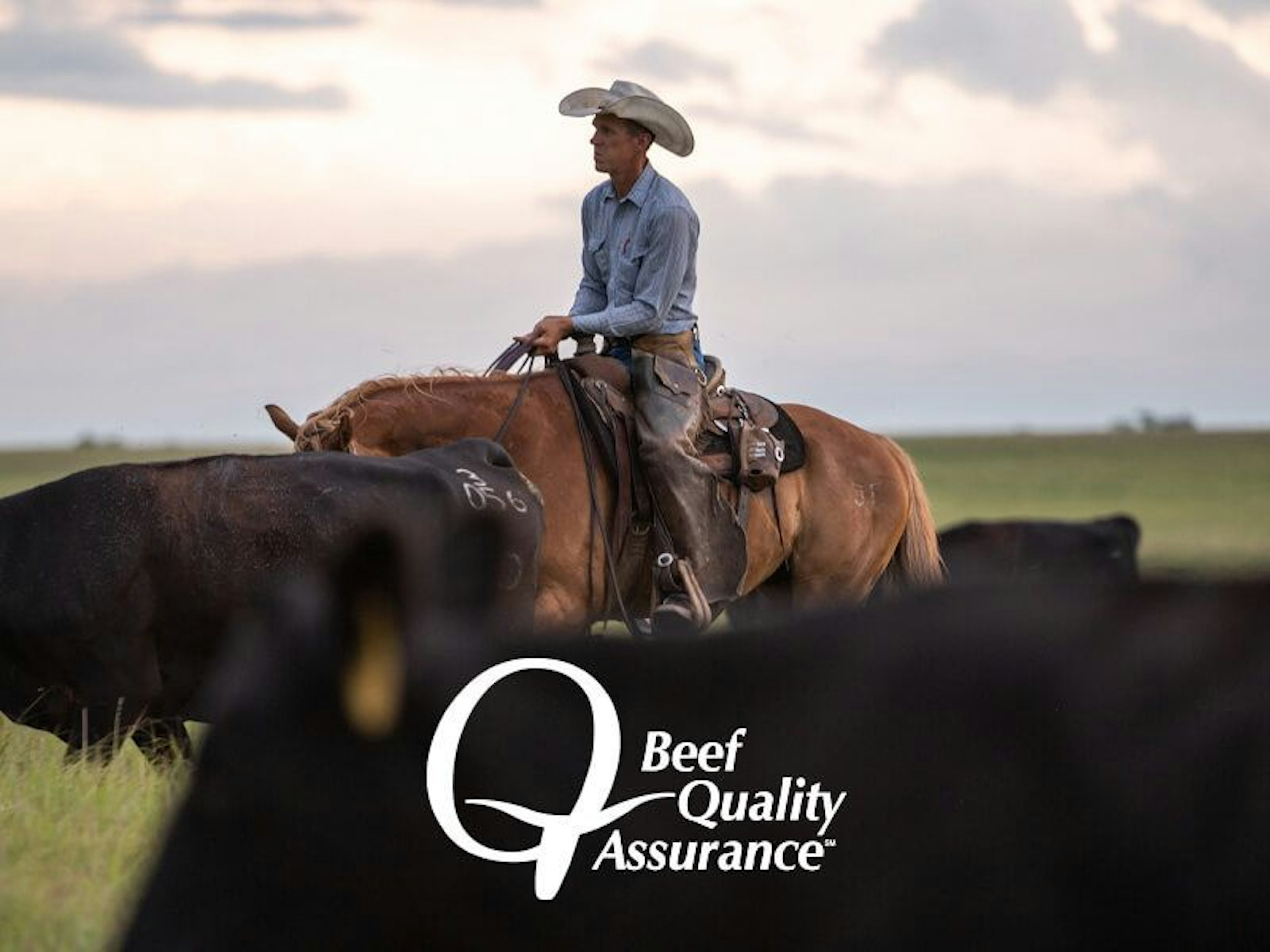 Beef Quality Assurance