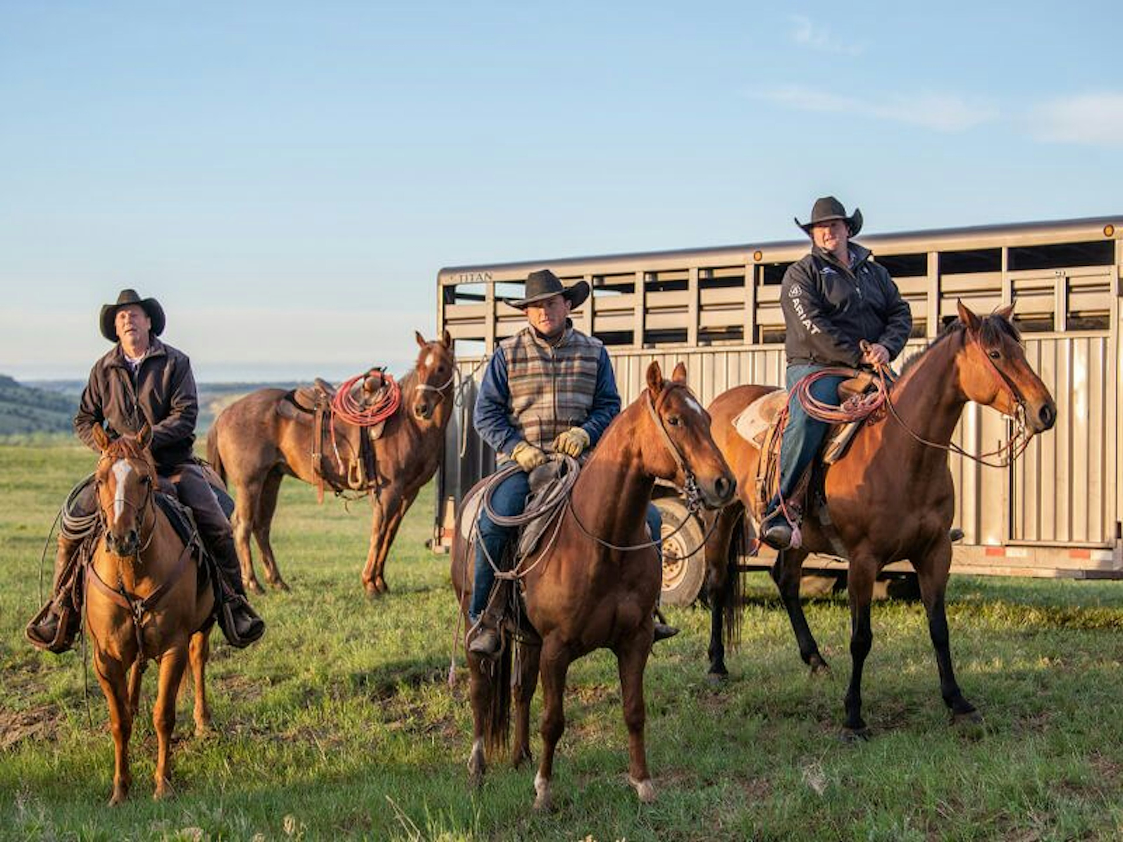 Bootheel 7 Livestock